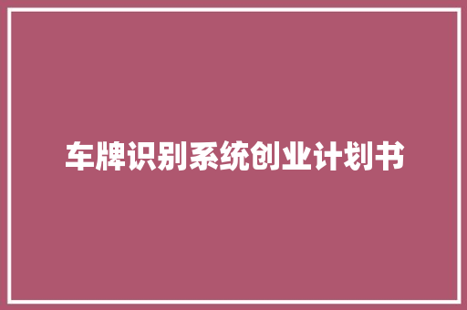 车牌识别系统创业计划书