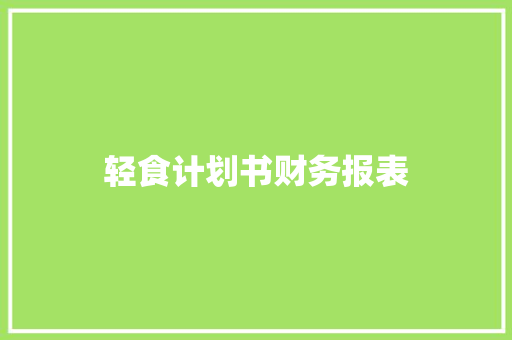 轻食计划书财务报表