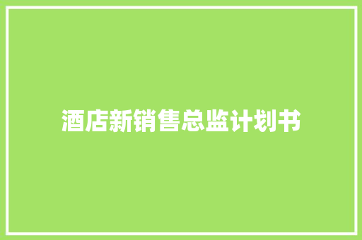 酒店新销售总监计划书