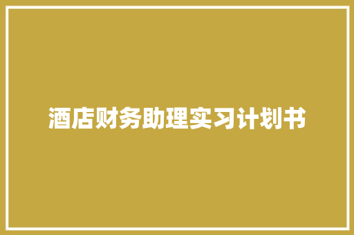 酒店财务助理实习计划书