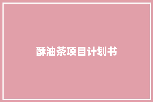 酥油茶项目计划书