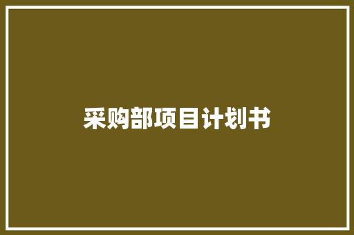 采购部项目计划书