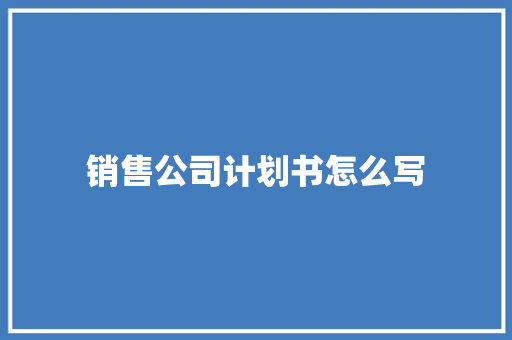 销售公司计划书怎么写