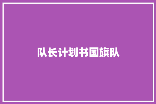 队长计划书国旗队
