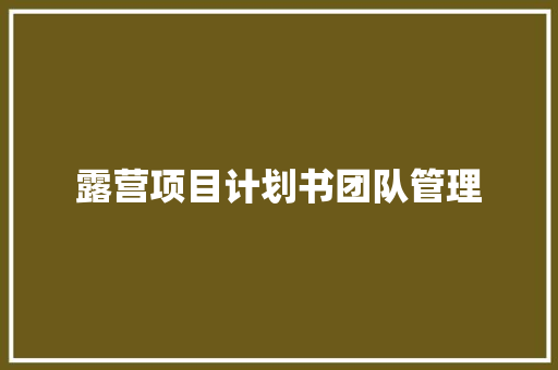 露营项目计划书团队管理