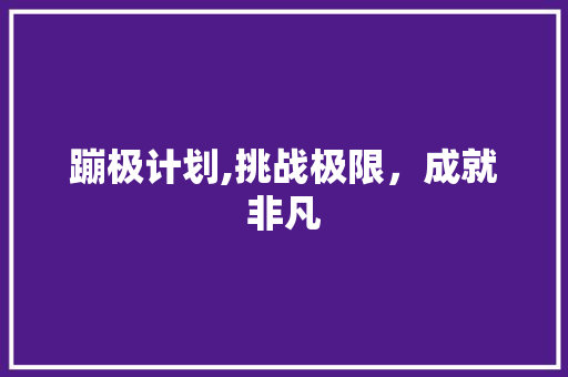 蹦极计划,挑战极限，成就非凡 写作技巧