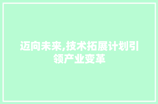 迈向未来,技术拓展计划引领产业变革