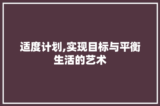 适度计划,实现目标与平衡生活的艺术