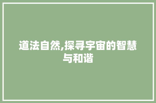 道法自然,探寻宇宙的智慧与和谐