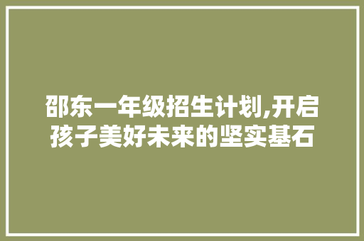 邵东一年级招生计划,开启孩子美好未来的坚实基石
