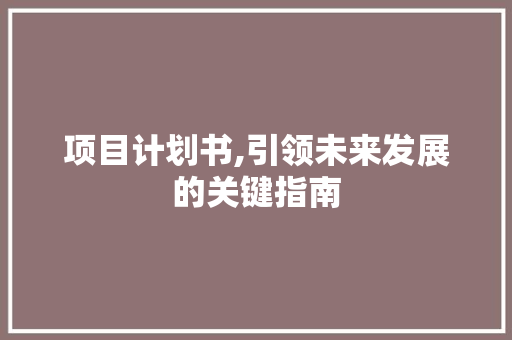 项目计划书,引领未来发展的关键指南