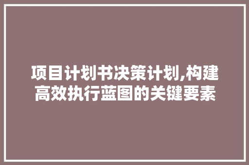 项目计划书决策计划,构建高效执行蓝图的关键要素