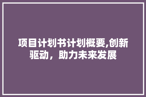 项目计划书计划概要,创新驱动，助力未来发展