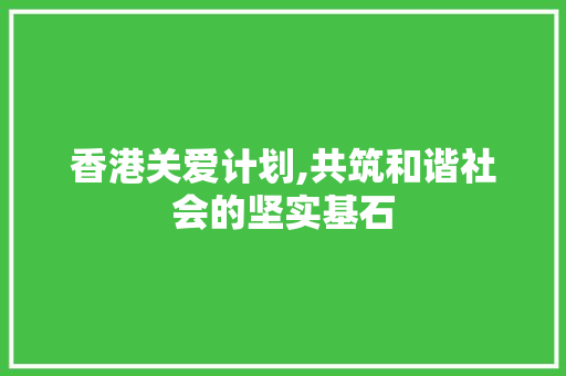 香港关爱计划,共筑和谐社会的坚实基石