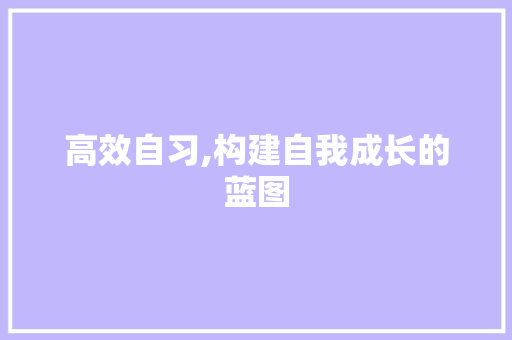 高效自习,构建自我成长的蓝图