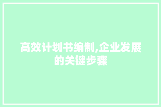 高效计划书编制,企业发展的关键步骤