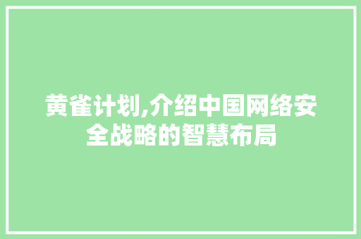 黄雀计划,介绍中国网络安全战略的智慧布局