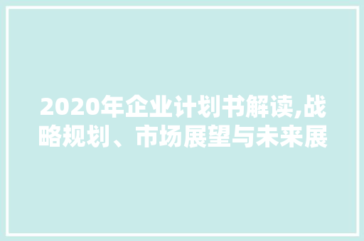 2020年企业计划书解读,战略规划、市场展望与未来展望