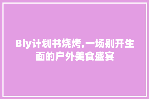 Biy计划书烧烤,一场别开生面的户外美食盛宴