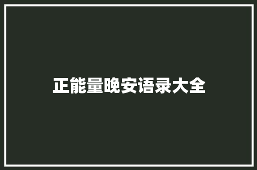 正能量晚安语录大全 报告写作