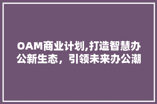 OAM商业计划,打造智慧办公新生态，引领未来办公潮流
