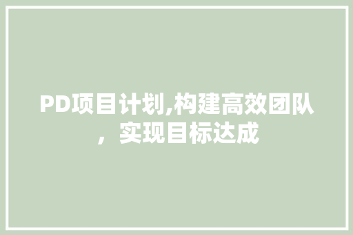 PD项目计划,构建高效团队，实现目标达成