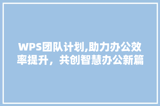 WPS团队计划,助力办公效率提升，共创智慧办公新篇章 报告写作