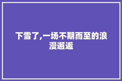 下雪了,一场不期而至的浪漫邂逅
