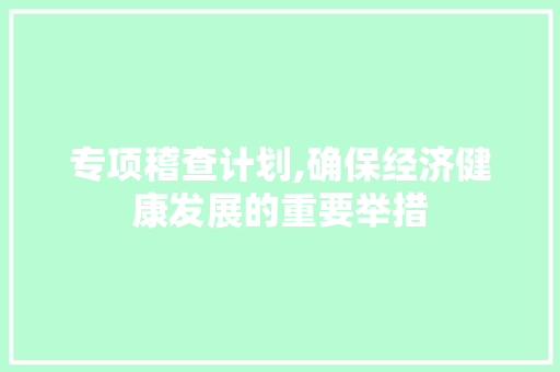 专项稽查计划,确保经济健康发展的重要举措
