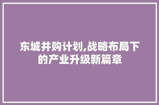 东城并购计划,战略布局下的产业升级新篇章