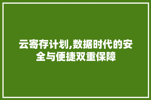 云寄存计划,数据时代的安全与便捷双重保障