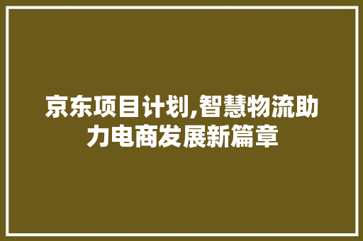 京东项目计划,智慧物流助力电商发展新篇章