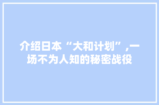 介绍日本“大和计划”,一场不为人知的秘密战役
