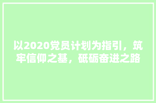 以2020党员计划为指引，筑牢信仰之基，砥砺奋进之路