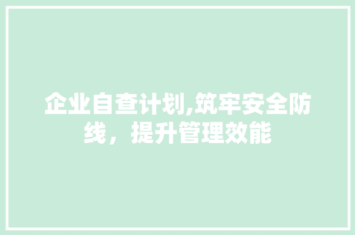 企业自查计划,筑牢安全防线，提升管理效能