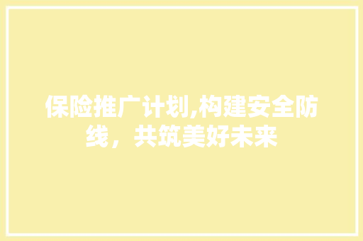 保险推广计划,构建安全防线，共筑美好未来