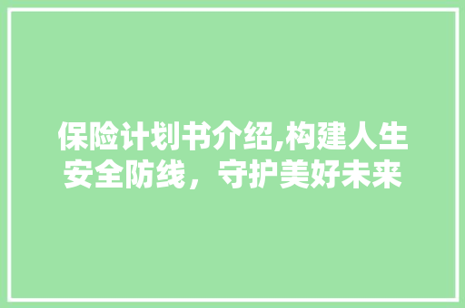 保险计划书介绍,构建人生安全防线，守护美好未来