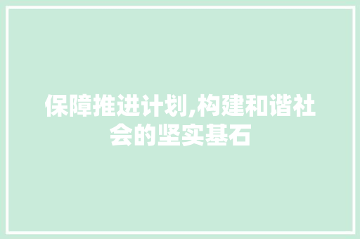 保障推进计划,构建和谐社会的坚实基石