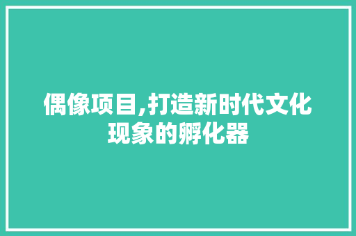 偶像项目,打造新时代文化现象的孵化器 词汇积累