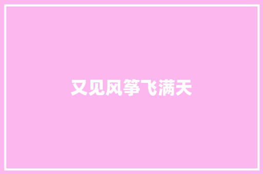又见风筝飞满天 简历模板