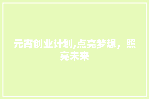 元宵创业计划,点亮梦想，照亮未来