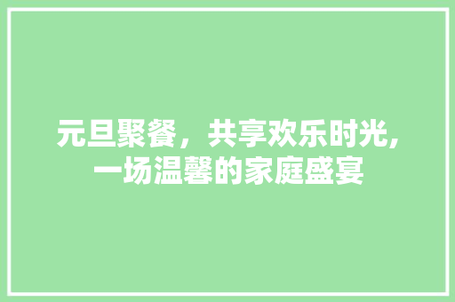 元旦聚餐，共享欢乐时光,一场温馨的家庭盛宴
