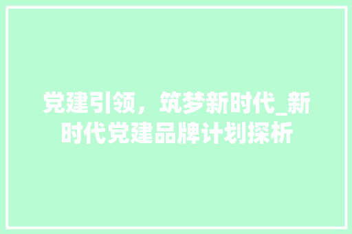 党建引领，筑梦新时代_新时代党建品牌计划探析