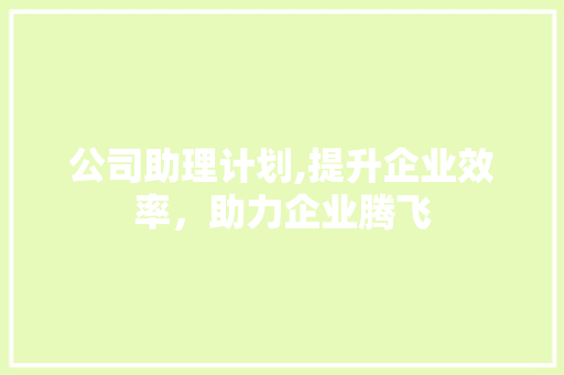 公司助理计划,提升企业效率，助力企业腾飞