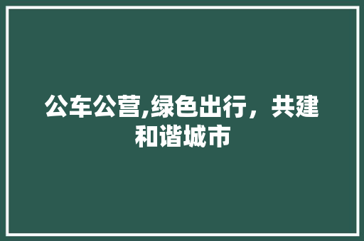 公车公营,绿色出行，共建和谐城市
