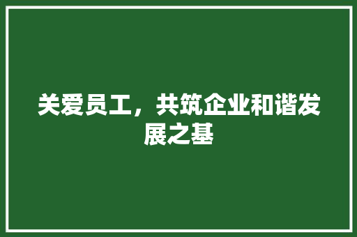 关爱员工，共筑企业和谐发展之基