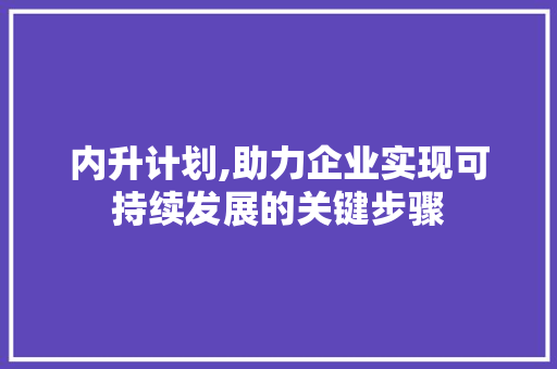 内升计划,助力企业实现可持续发展的关键步骤