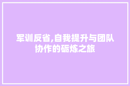 军训反省,自我提升与团队协作的砺炼之旅