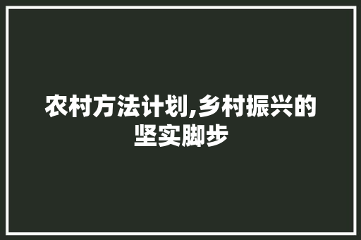 农村方法计划,乡村振兴的坚实脚步