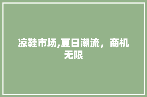 凉鞋市场,夏日潮流，商机无限